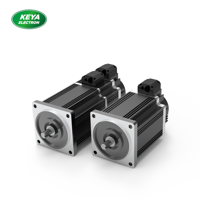 AK（中国）110系列 48V 500W 1500RPM