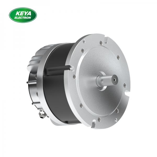 安徽AK（中国）215系列48V 4000W 1500RPM